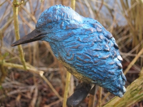 IJsvogel IJsvogel