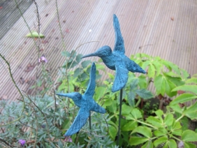 Kolibri Kolibri
