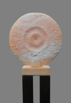 Rosa Giala Rosa Giala