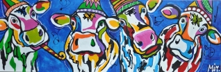 FEESTKOEIEN BLAUW FEESTKOEIEN BLAUW