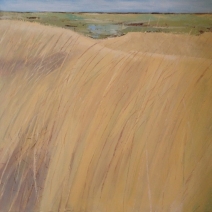 duinlandschap duinlandschap