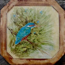 Ijsvogel Ijsvogel