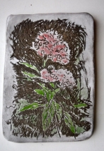 Spirea Spirea