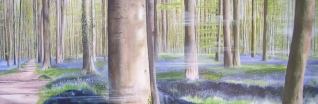 Magic blue bells (v) Magic blue bells (v)