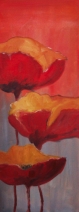 Papavers Papavers