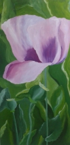 Papavers uit Frankrijk doek 1 Papavers uit Frankrijk doek 1