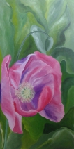 Papavers uit Frankrijk doek 2 Papavers uit Frankrijk doek 2