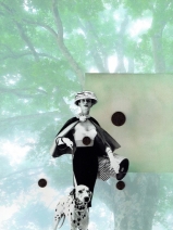 Dalmatiers Dalmatiers