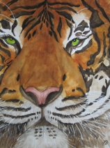Tijger Tijger
