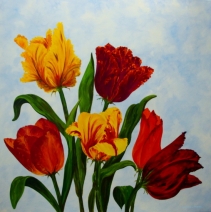 Tulpen uit Maasgouw Tulpen uit Maasgouw