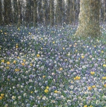 Lente. Crocussen Lente. Crocussen