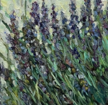 Fleur. Paars. Lavendel Fleur. Paars. Lavendel