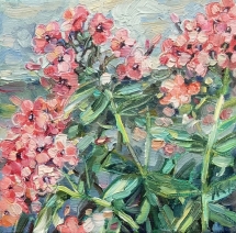 Fleur. Roze. Floxen Fleur. Roze. Floxen