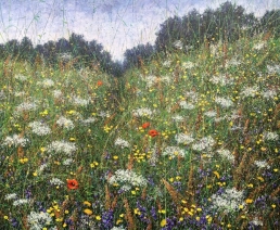 Through the field Through the field