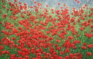 Where poppies bloom Where poppies bloom