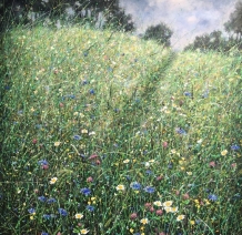 Through the grass Through the grass