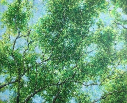 Sunny trees Sunny trees