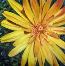 Gele bloem Gele bloem