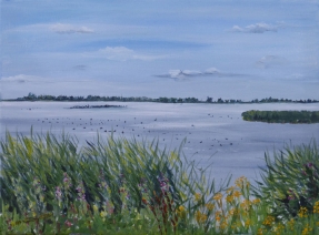 Lauwersmeer Lauwersmeer