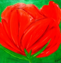 Red Tulip Red Tulip