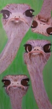 The Ostrich Family The Ostrich Family