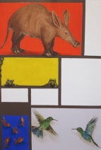 De Natuurelementen De Natuurelementen