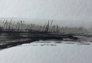 Landschap Landschap