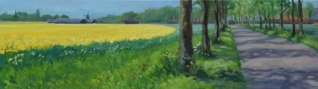 Koolzaadveld Oosterhamrik Koolzaadveld Oosterhamrik