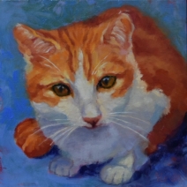 Kater Kater