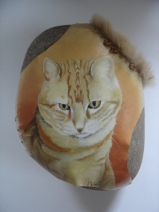 Rode kater Poekie Rode kater Poekie