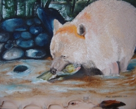 Canadese White Spirit Bear Canadese White Spirit Bear