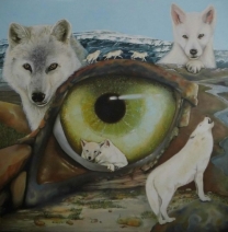 Artic wolf Artic wolf
