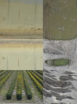groengroengroen groengroengroen