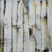 Driftwood 13 Driftwood 13