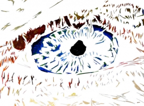 Eye Eye