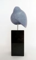 Vogel klein blauw Vogel klein blauw
