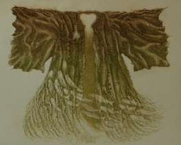 Watermantel Watermantel