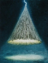 Noorderlicht Noorderlicht