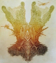 Unfolding Unfolding