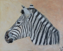 Zebra Kop Zebra Kop