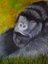Silverback Gorilla Silverback Gorilla
