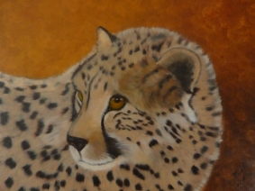 Cheetah Cheetah