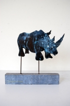 Neushoorn Neushoorn