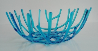 Koraalschaal blauw Koraalschaal blauw