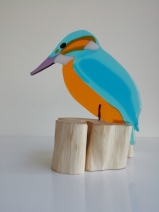 IJsvogel 1 IJsvogel 1