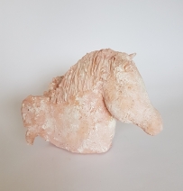 Pegasus Pegasus