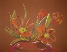 Tulpen Tulpen