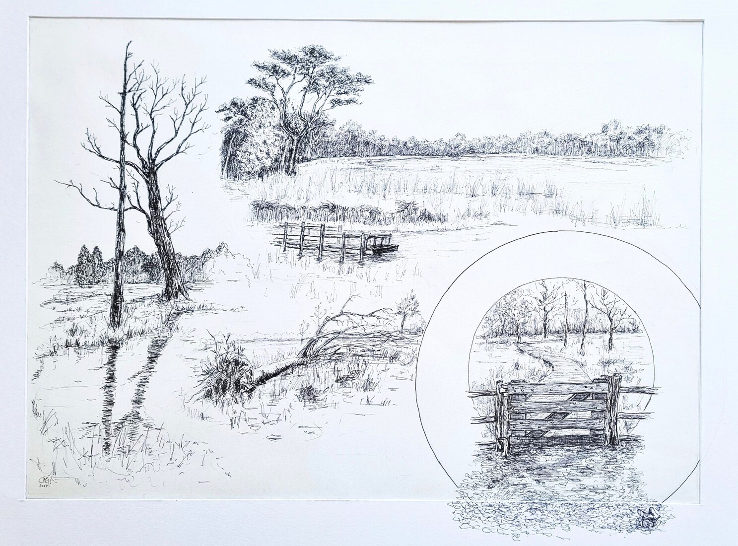 Wandeling, Cartouche, Rozenven: Open blik; Focus; Kokervisie.