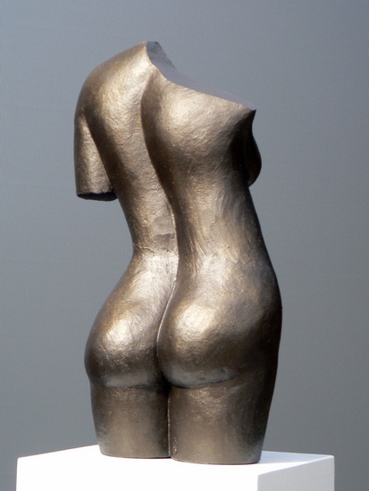 Torso