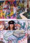 paintings of the temperate rainforest